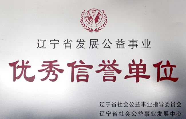 辽宁省发展公益事业优良诺言单元